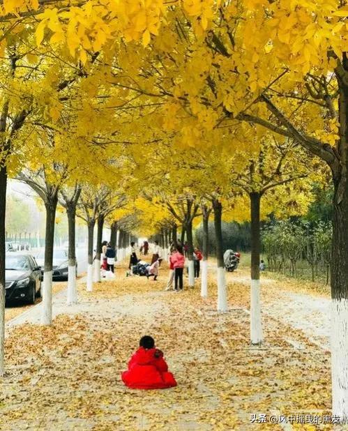 一天学一个成语一年级,一天学一个二字古词