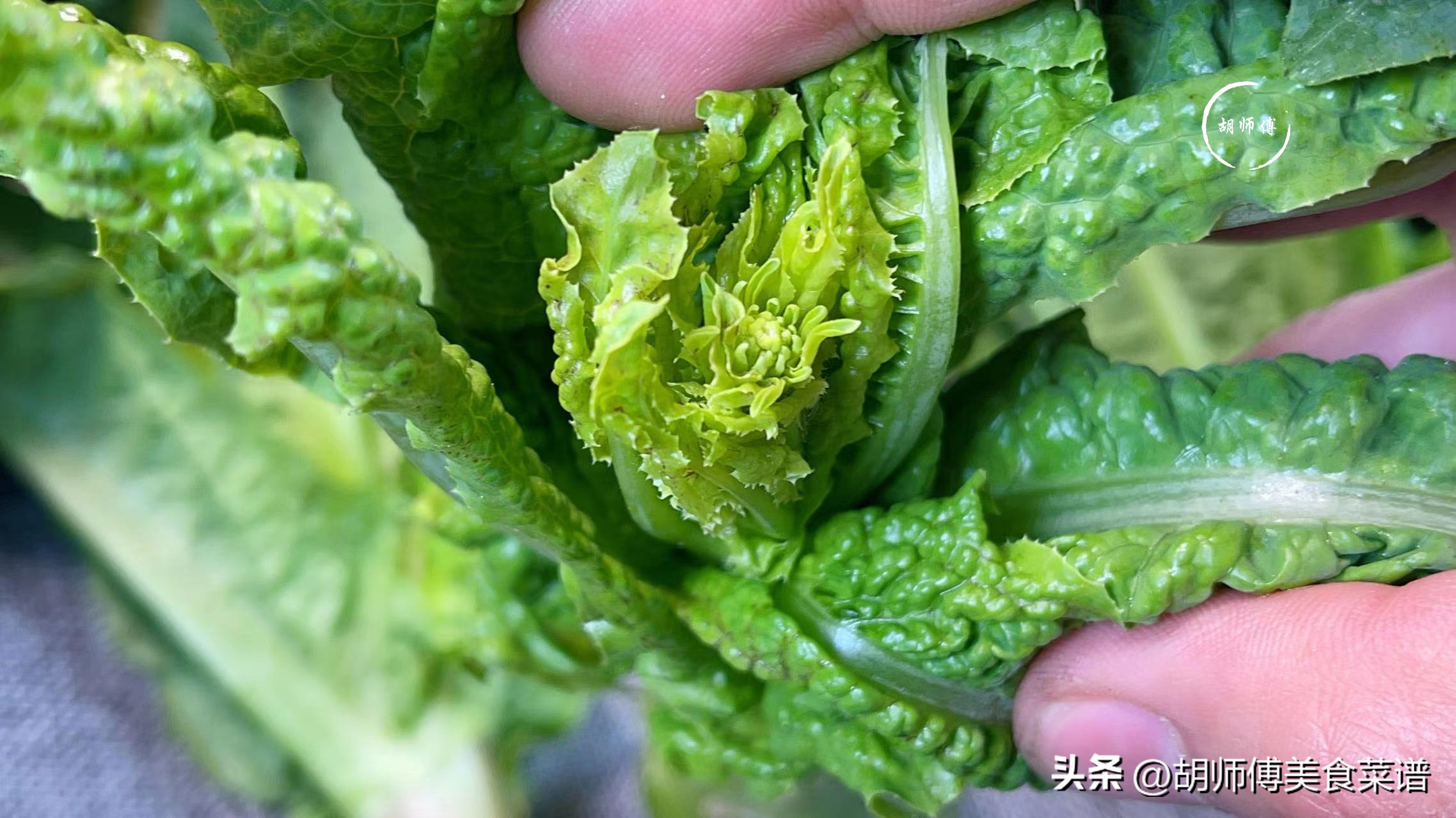 买莴笋还是莴笋段合适,买莴笋有什么讲究