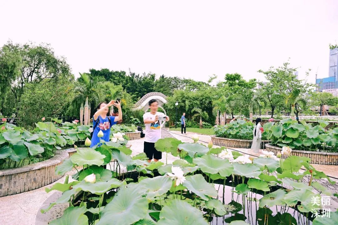 深圳人游玩推荐,深圳人爬山看海