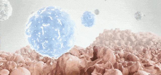 成分学科普,成分科普创意