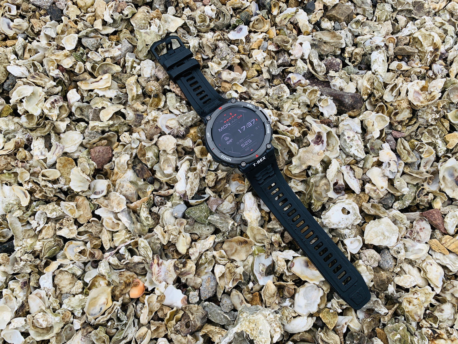 卡西欧手表测评中国龙白,卡西欧独角兽系列的手表测评