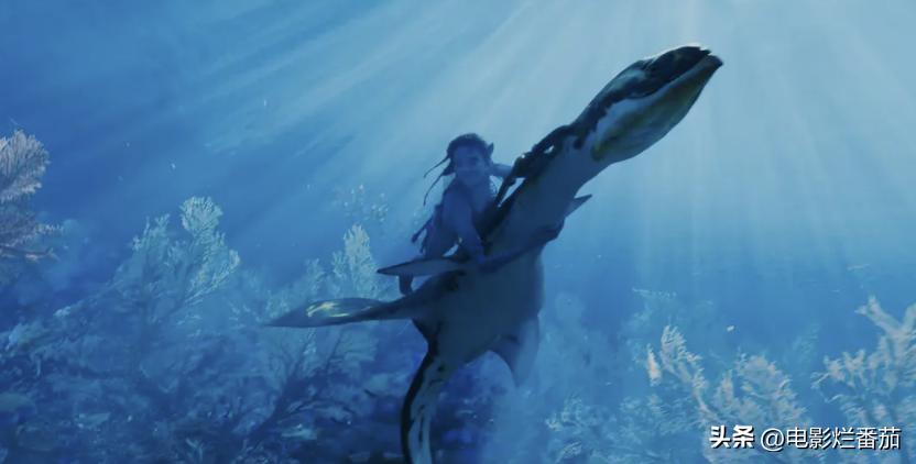 曝阿凡达2定档2022,苦等十年阿凡达2最新预告