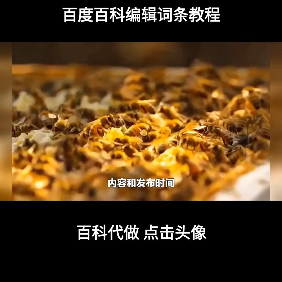 百度百科编辑词条教程
