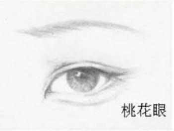 自带桃花眼的6大男明星,真正是桃花眼的男明星