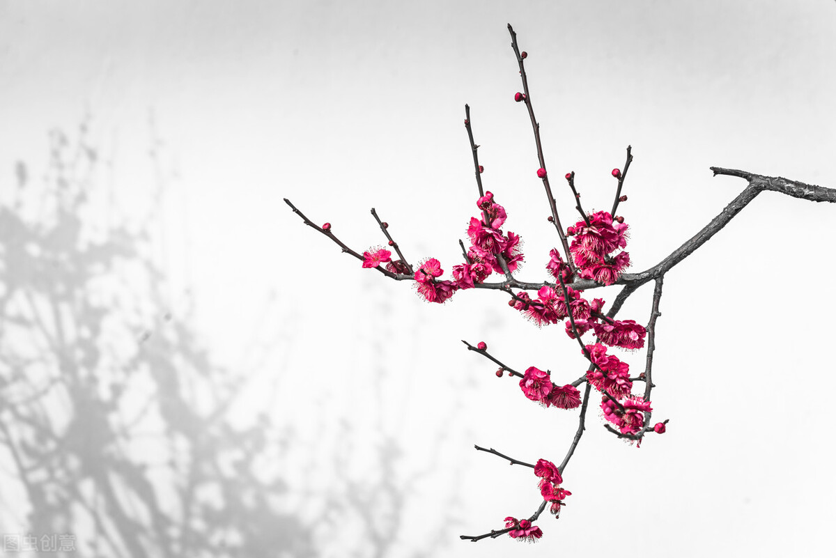 湿热下注前列腺炎该怎么治疗,湿热下注睾丸潮湿吃什么中成药