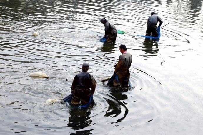 水蚯蚓多少块钱,捕蚯蚓违法吗