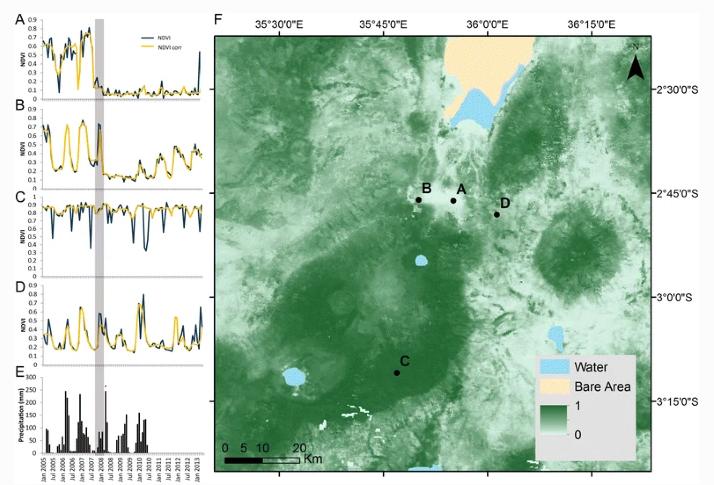 OldoinyoLengai火山灰沉降物，对植被的生长与恢复造成了哪些影响