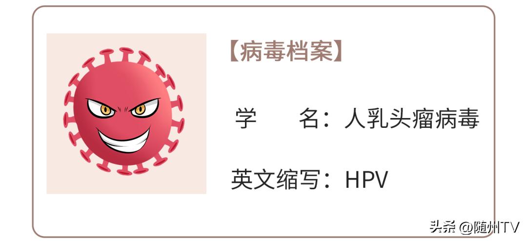 35—64岁妇女领福利啦！16万人可享受