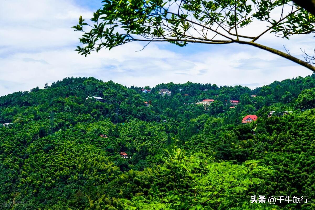 浙江旅游景点大全排行榜前十名,浙江哪些旅游景点对浙江人免费