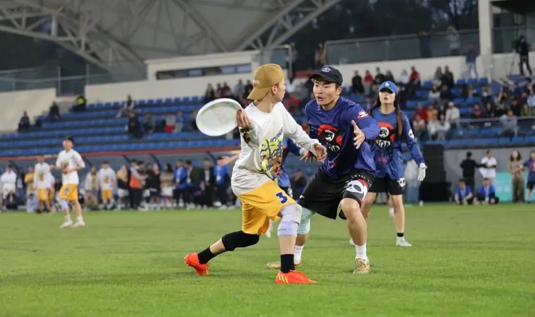 攻防箭arch,攻防箭