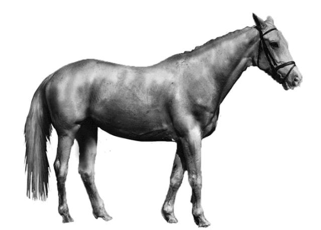 3种简单高效的ps制作立体字方法,ps制作三原色教程