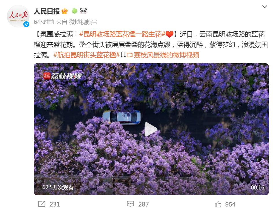 芸儿美美美美美,美美美美美美美英文
