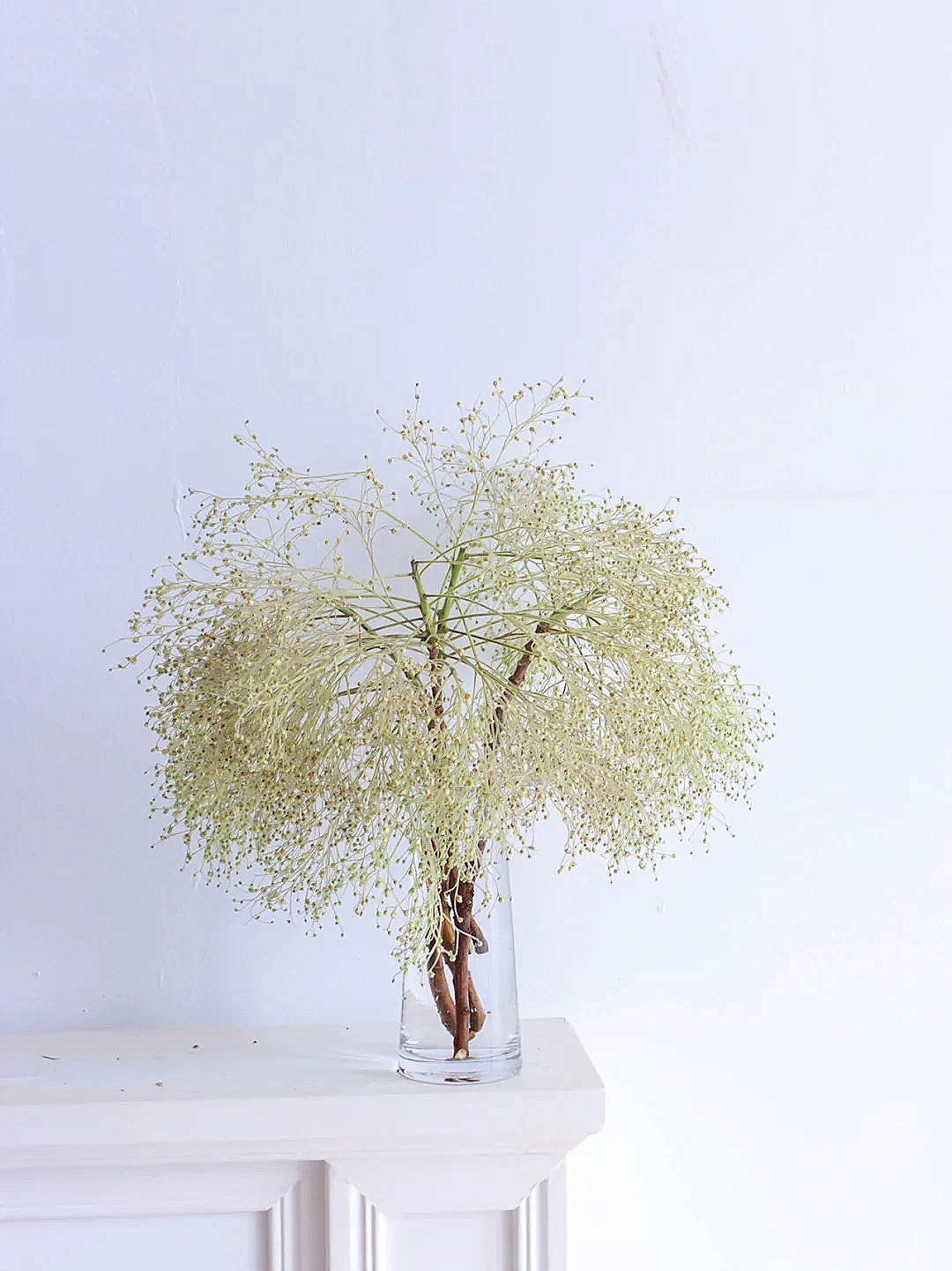 花艺教程花材打理知识,花艺教程常用花材及叶材有哪些