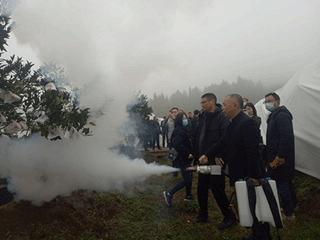 柑橘种植四大注意事项介绍,柑橘树防冻技术视频教程