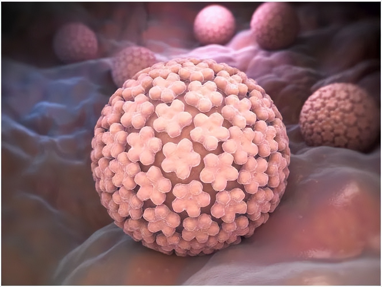 阳康以后饮食注意事项,阳康5件事不能做