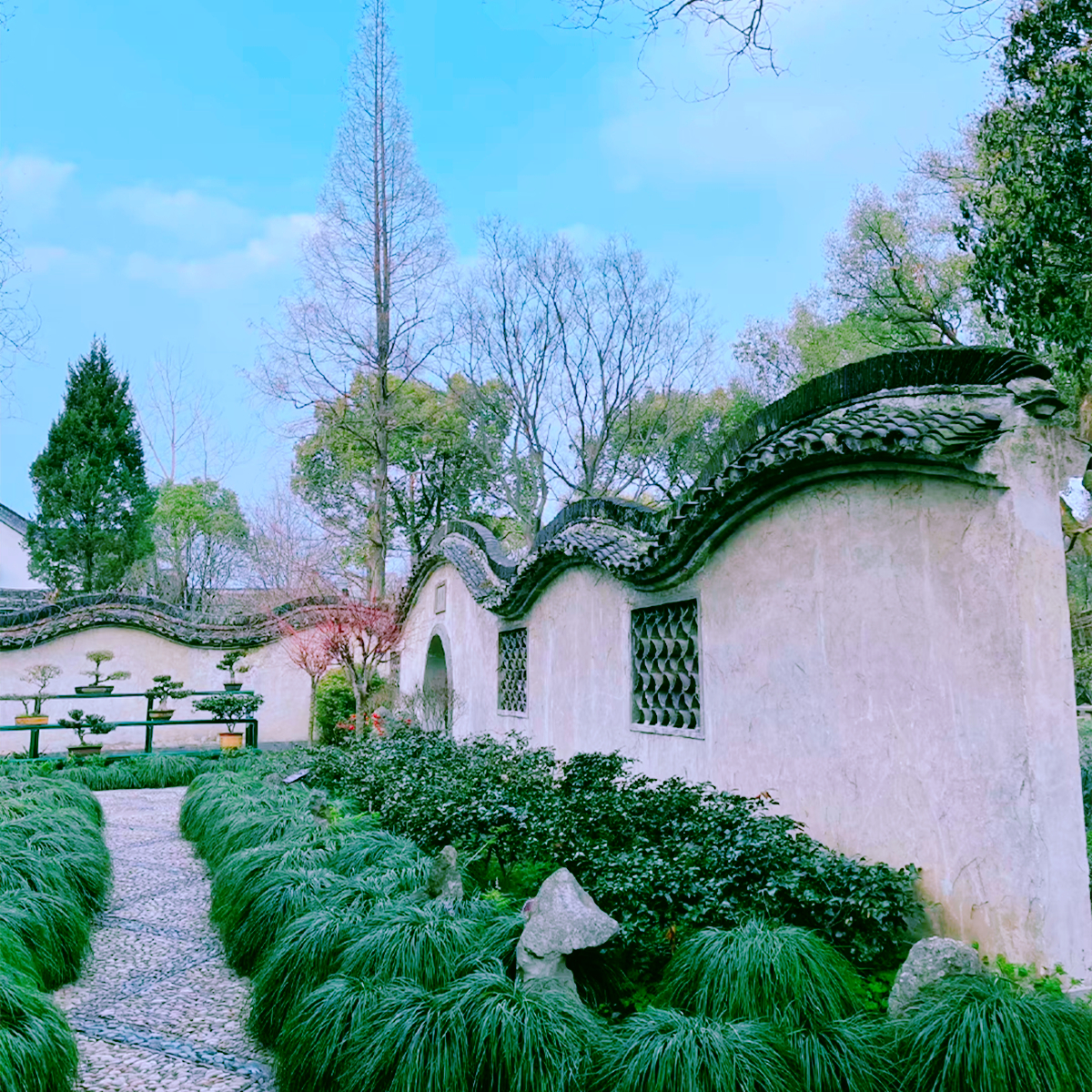 87版红楼梦拍摄园林,红楼梦在苏州哪个园林拍的