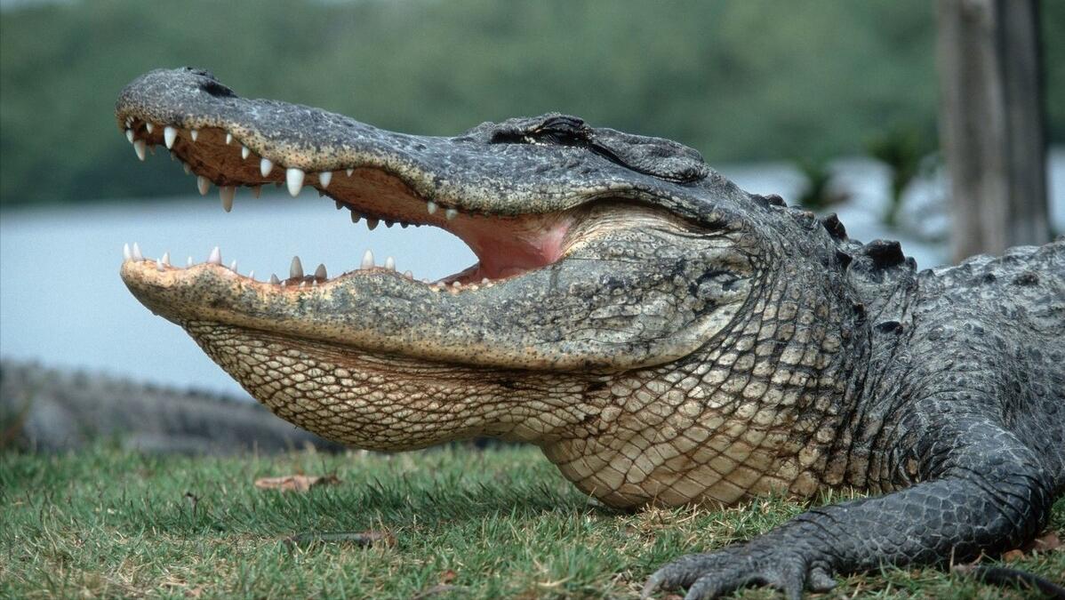 健康元同仁堂,健康元独家产品