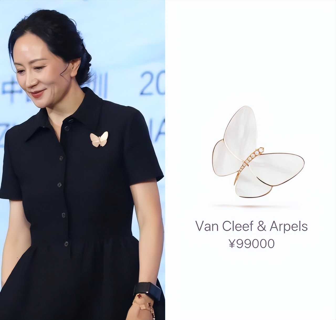 孟晚舟蝴蝶胸针价值,孟晚舟同款蝴蝶胸针有什么意义