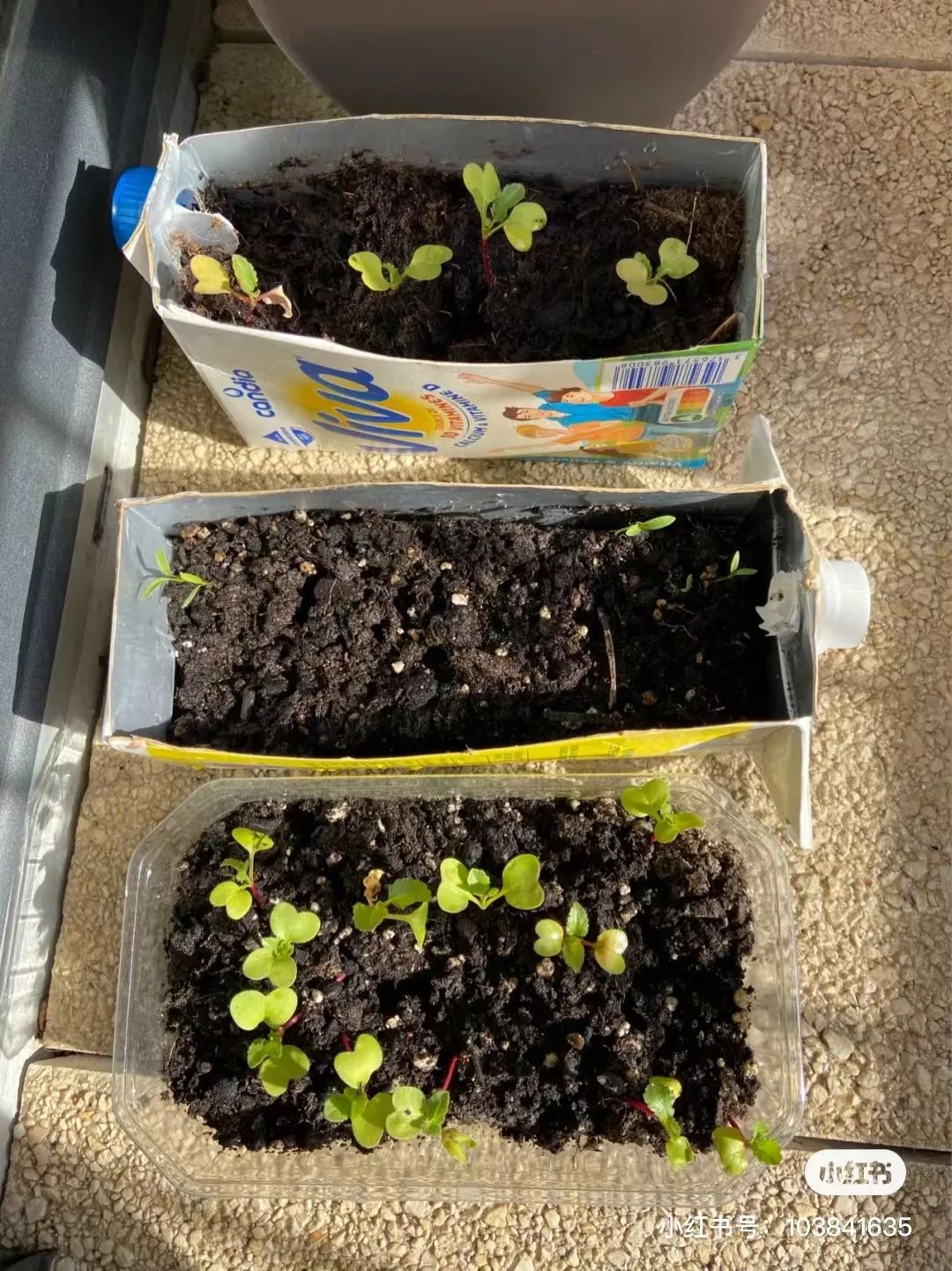 居家实用收纳好物分享,10件让家里变高级的收纳小神器