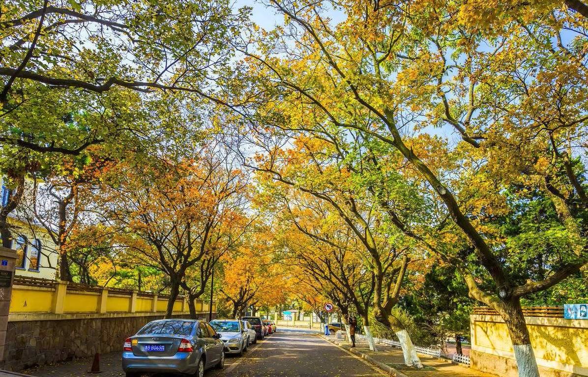 青岛旅游攻略十大景点介绍,青岛旅游攻略必去十大景点示意图