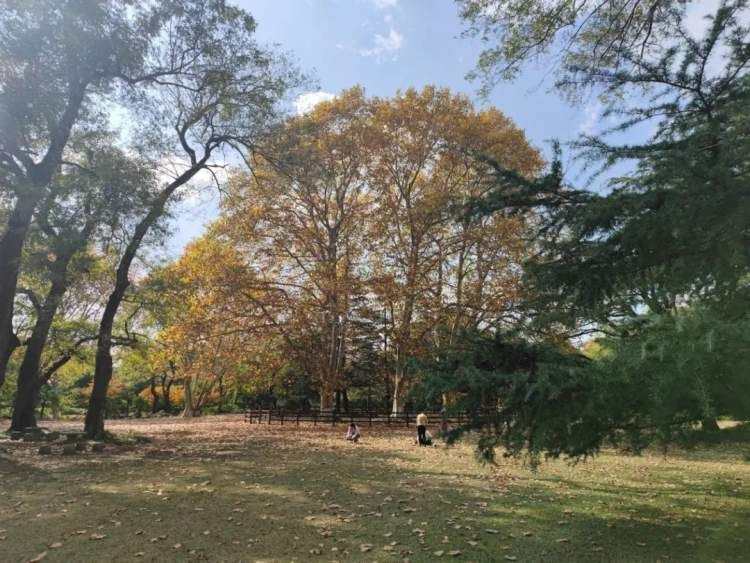 最值得打卡的动物园,国庆必打卡动物园推荐