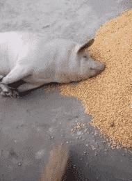 去足疗店按摩的时候遇到了自己的前女友，怎么样才能化解尴尬？哈