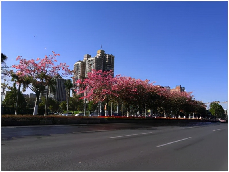 大美花都,广州花都竹洞村美景