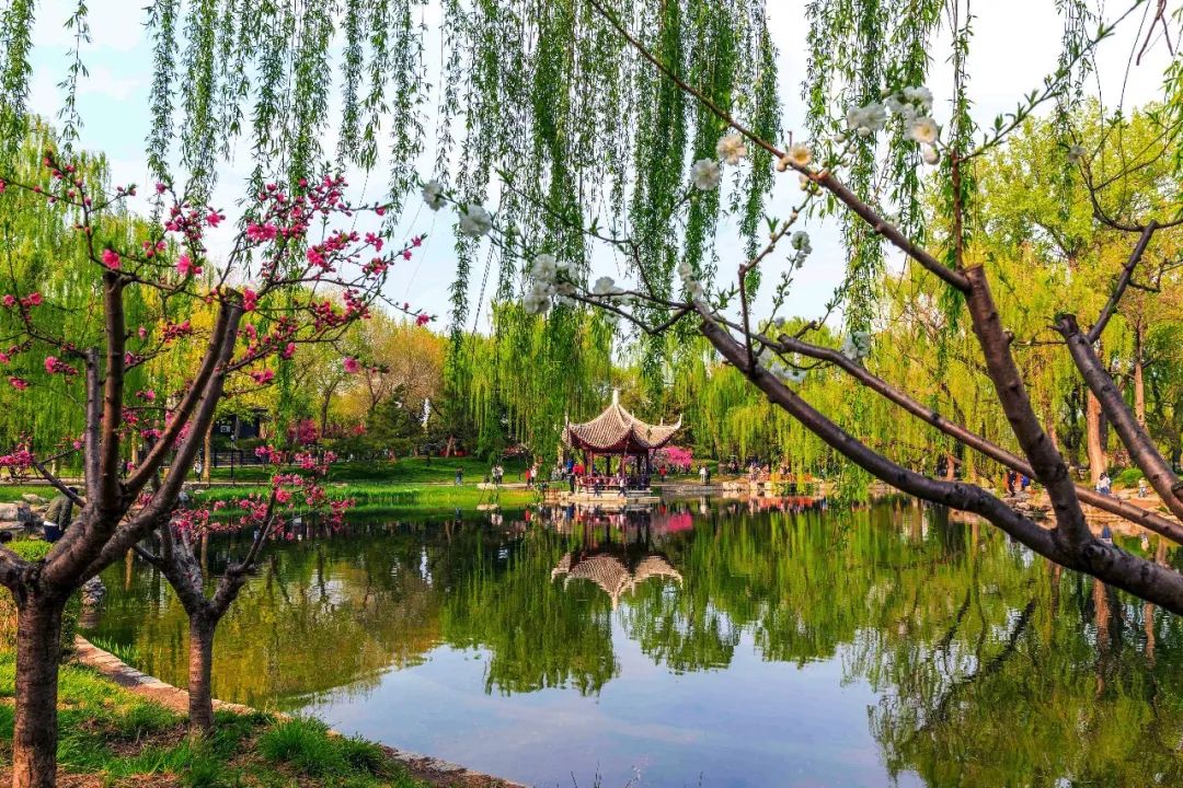 西城印象西平县,西城印象二期