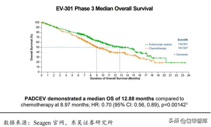 有效避开内卷，迈威生物：ADC锋芒初显，快速成长的Biopharma