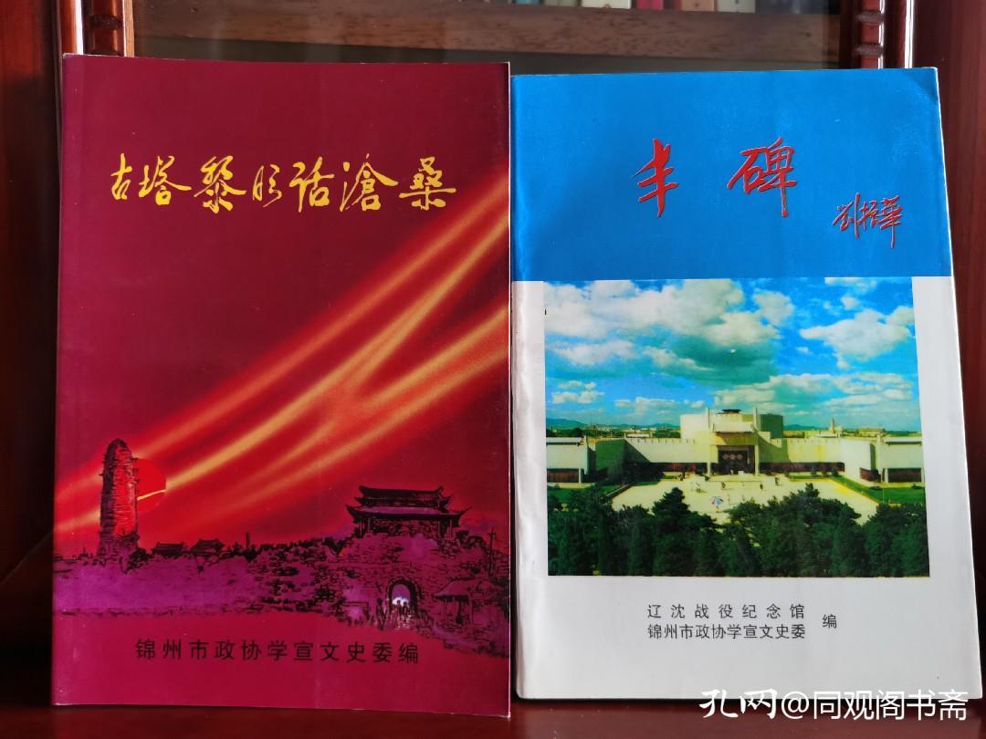 伟大的战役完整版视频,大决战之辽沈战役炮击锦州