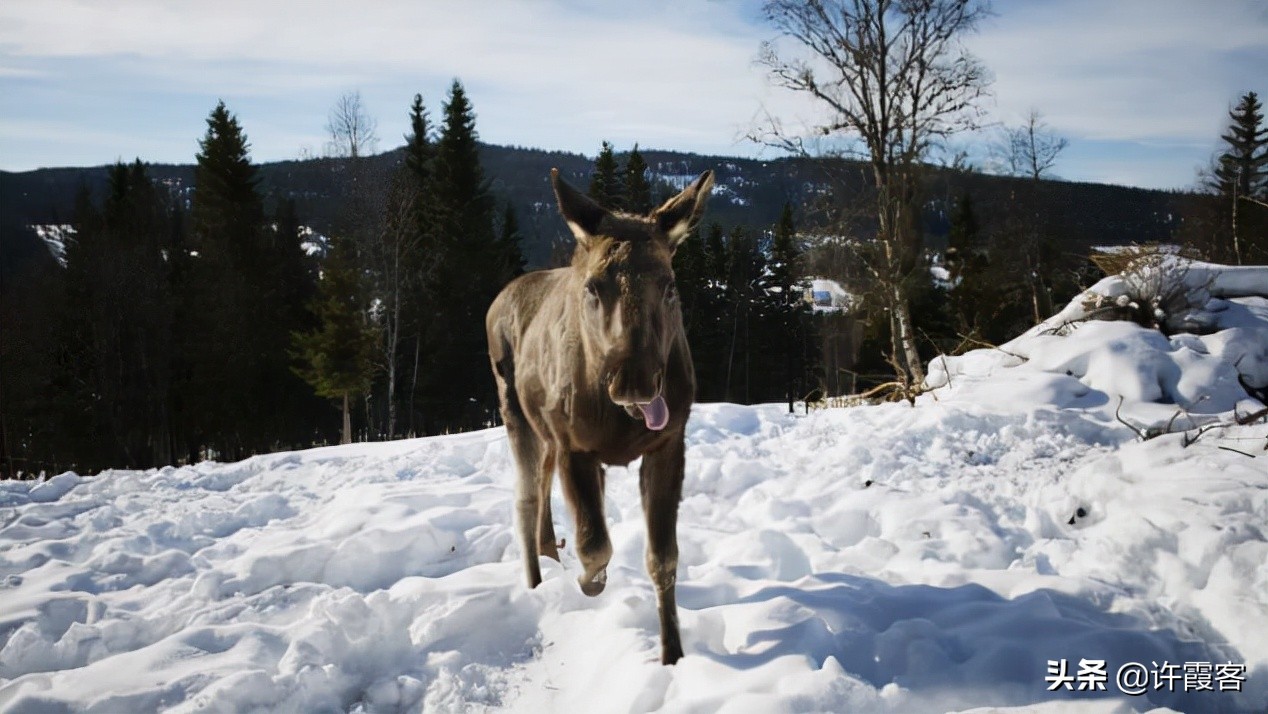 瑞典现状，带你看看真实的瑞典