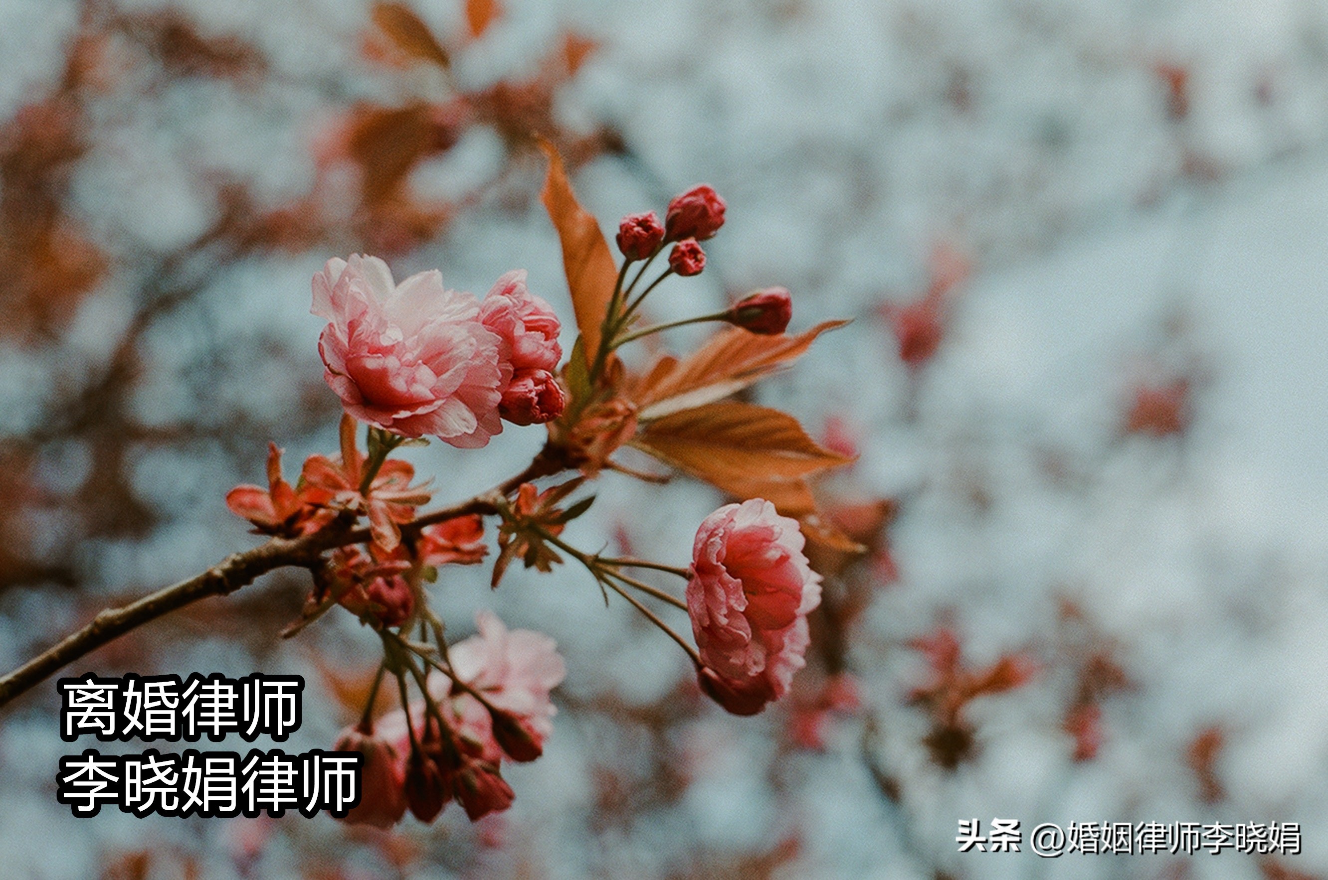 浙江杭州离婚抚养权律师费怎么算,杭州离婚孩子抚养权律师免费咨询