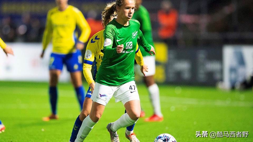 丹麦足球青训俱乐部,丹麦足协