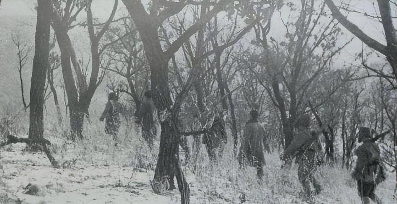 解放时期华野东野实力,东野华野中野四野哪个厉害