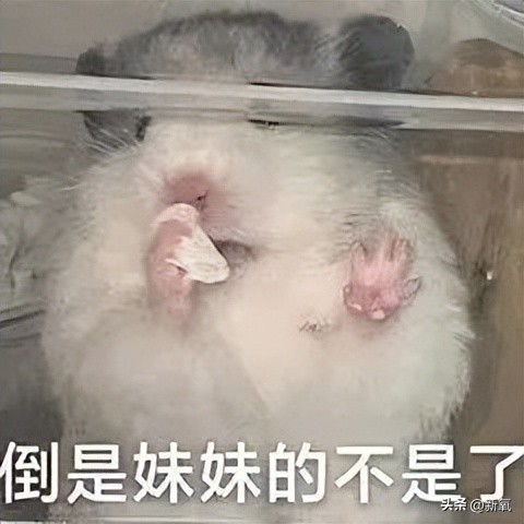 坐拥100万粉丝的美少女，直播间点赞量高达1亿，实力如何？