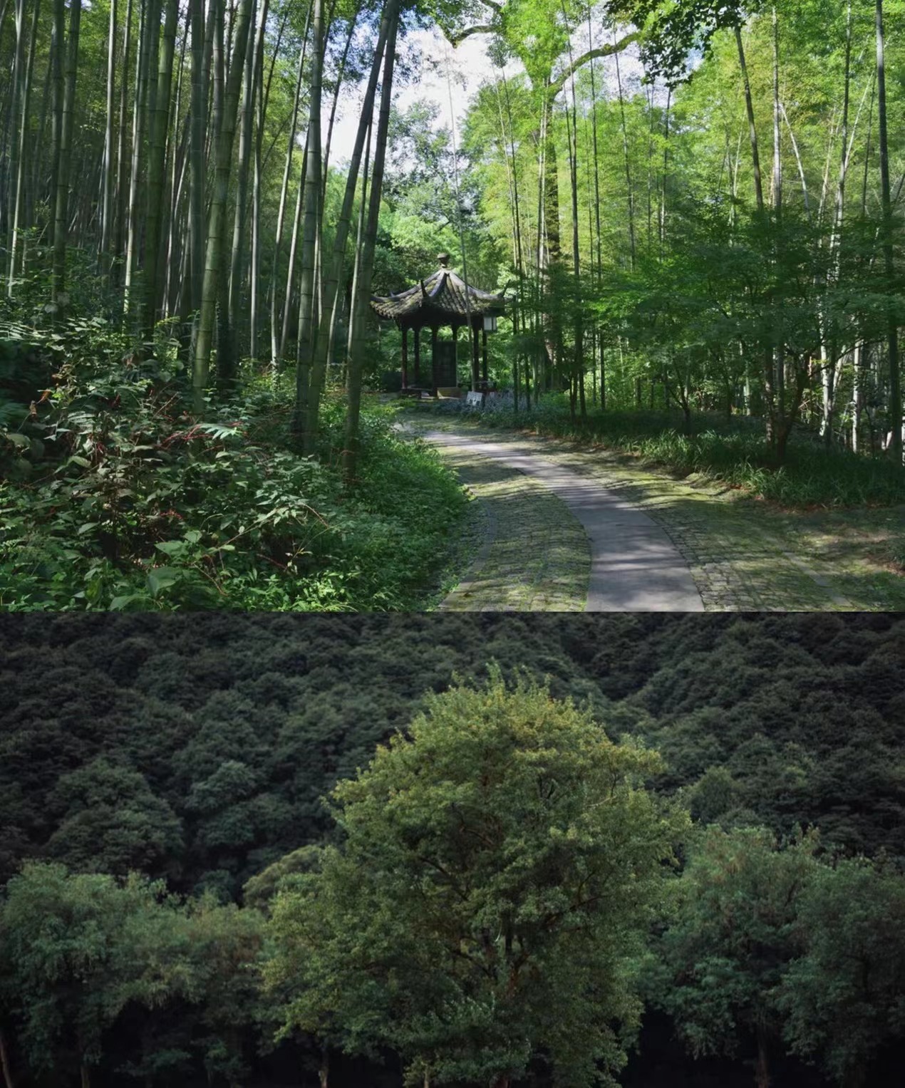 杭州旅游攻略小众景点有哪些,旅游杭州小众景点推荐