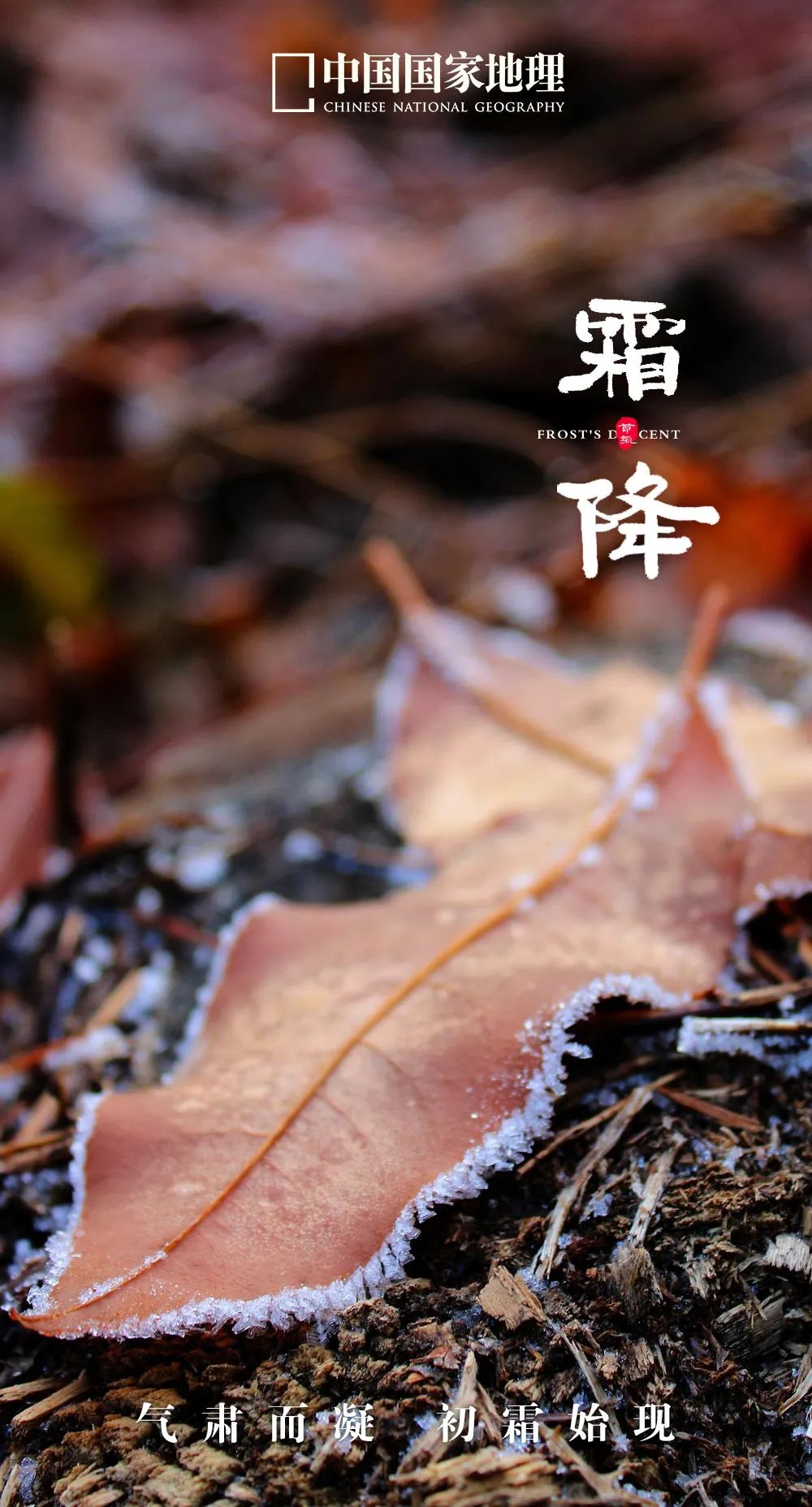 365天最美24节气图诞生惊艳国人,这组24节气图太美了