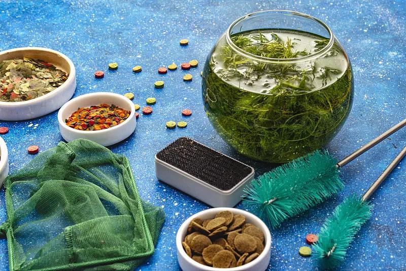 「鱼食制作」金鱼饲料怎么制作金鱼饲料制作方法