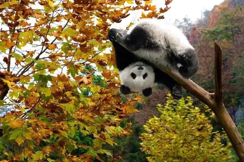 幽默爆笑笑话100个搞笑段子,幽默笑话搞笑段子100篇