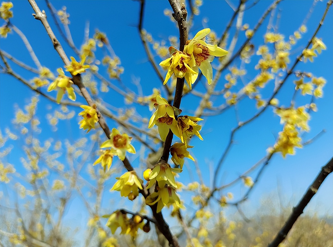 嘿好久不见剧本评测,嘿好久不见歌词