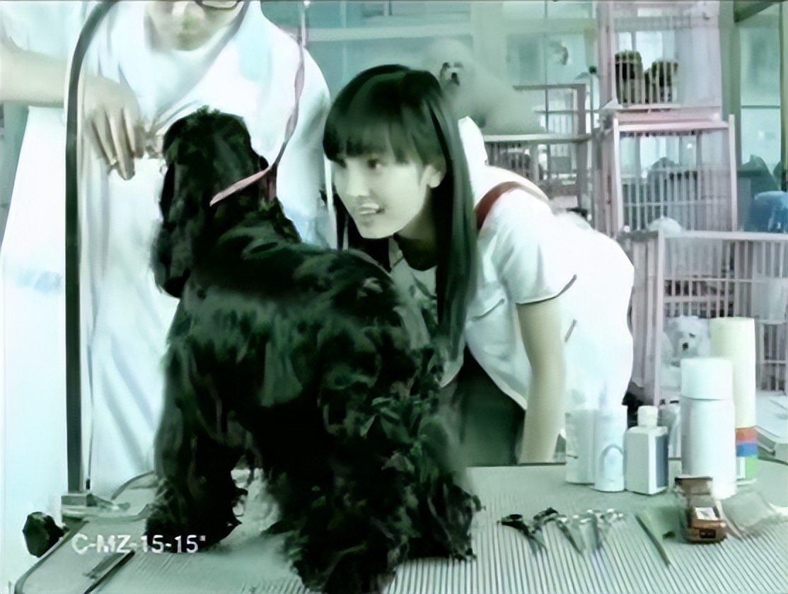 杨幂王鸥家庭,杨幂被后妈欺负争夺家产下集