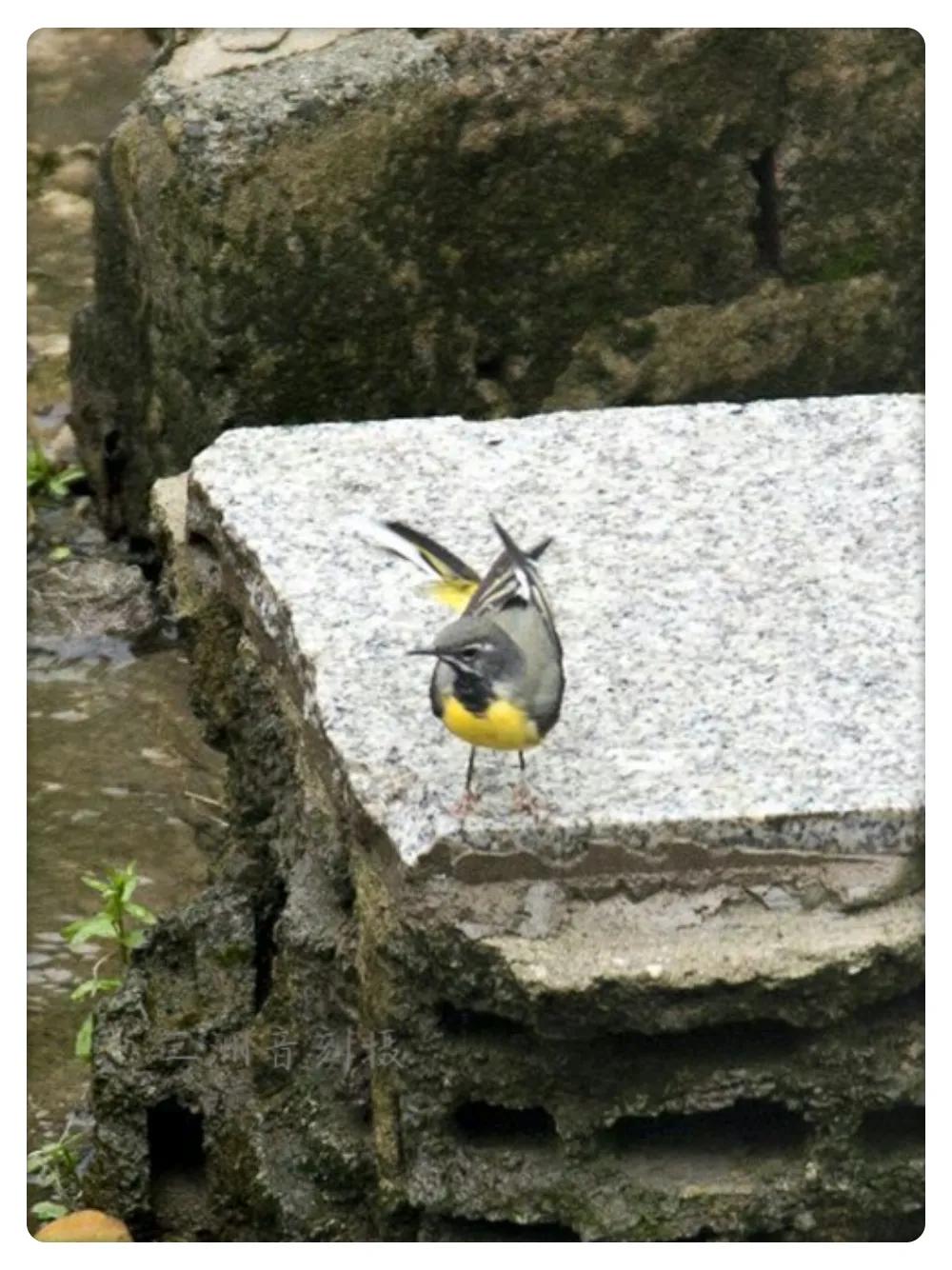 上海市嘉定区安亭国际汽车城,上海嘉定安亭国际汽车城