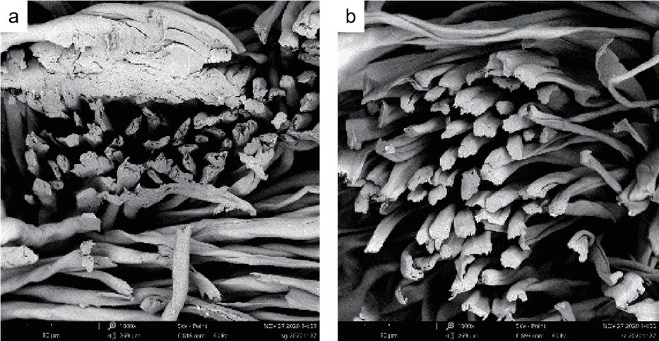 不怕火烧的丝光棉,繁花防火丝光棉