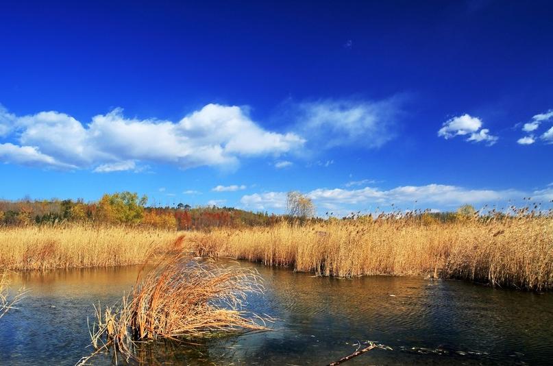 描写深秋景色的诗句古诗词,有关描写深秋的古诗词