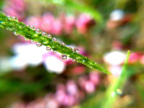 山青的古诗词,诗句中有山青花欲燃的句子