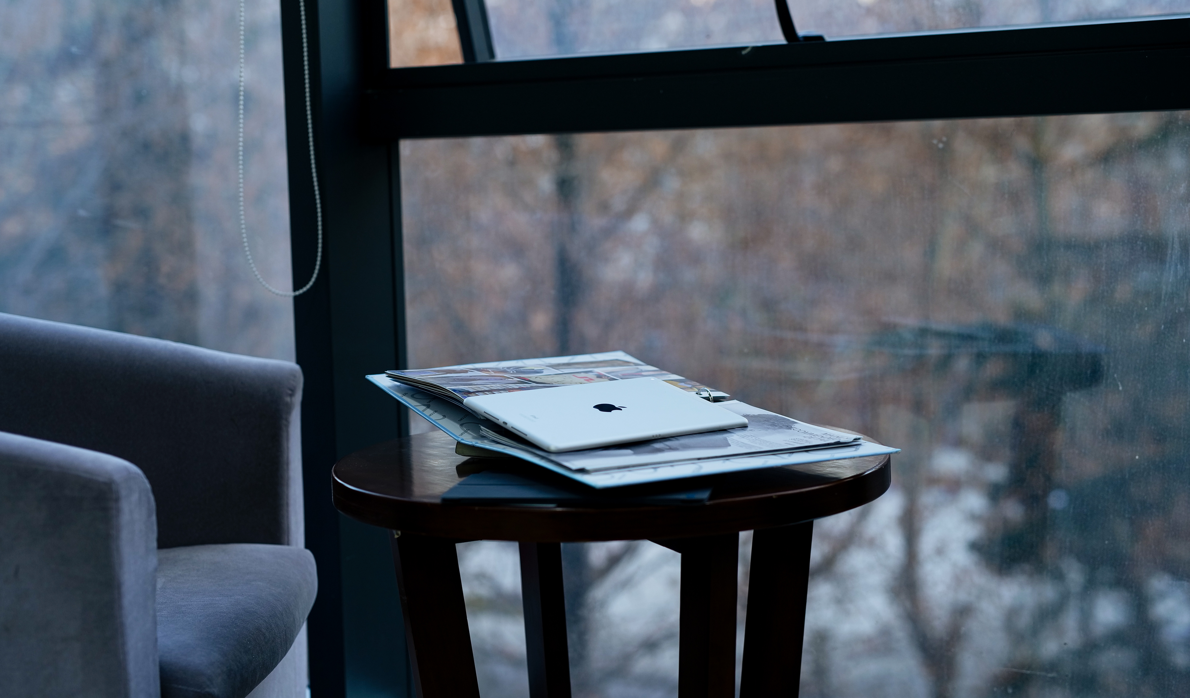 苹果图书馆怎么用ipad,ipad2020图书功能