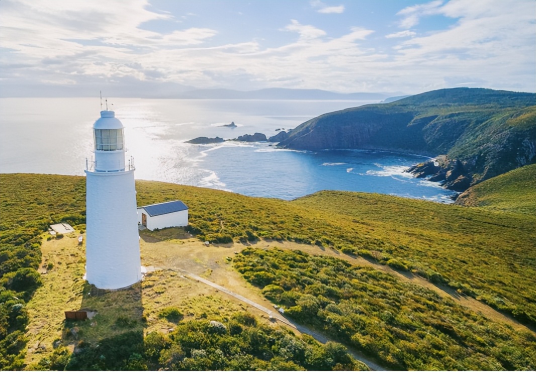 澳洲贝拉米dha酸奶,澳洲贝拉米有机a2奶粉