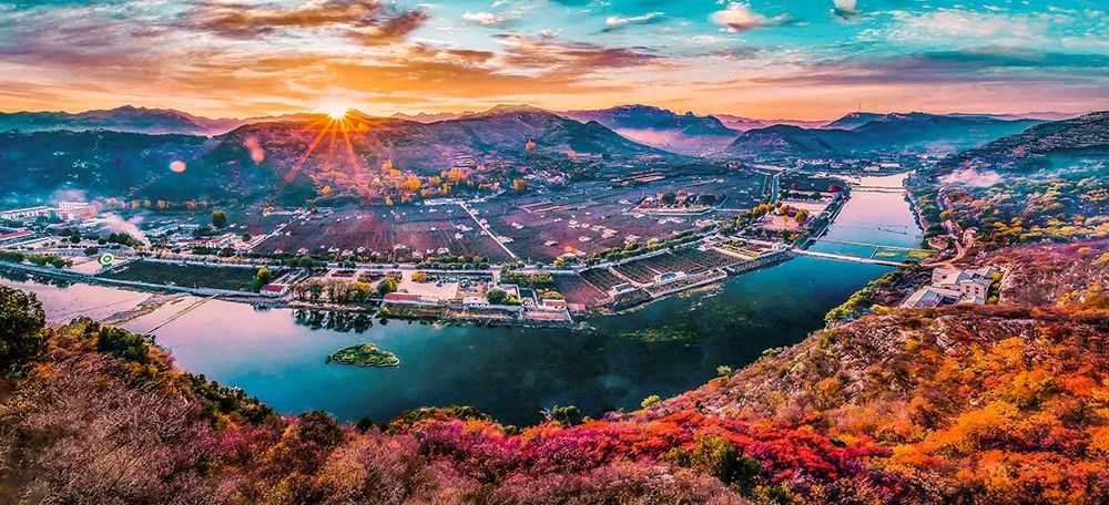 原汁原味的猕猴桃,云雾山原汁原味香甜可口的猕猴桃