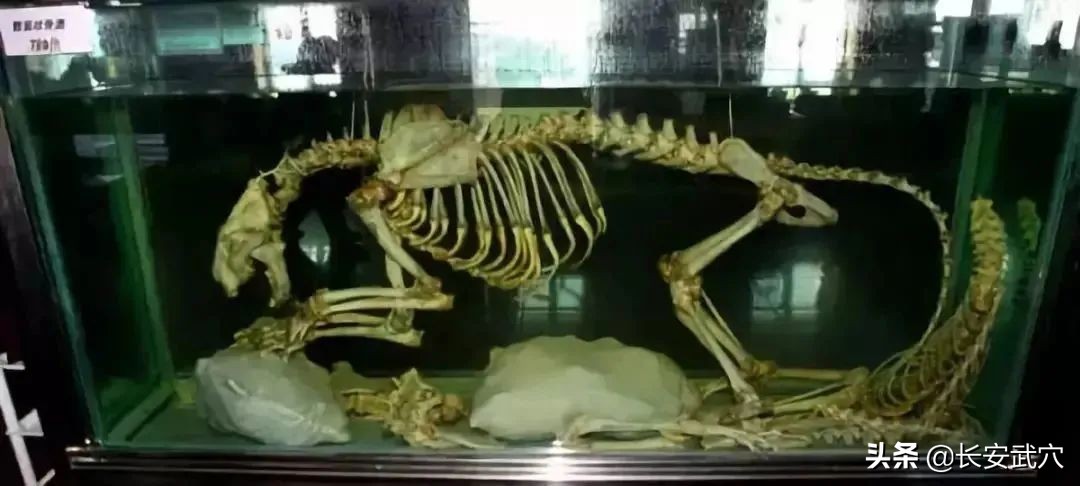 全网最近大事件,最大丑闻案件