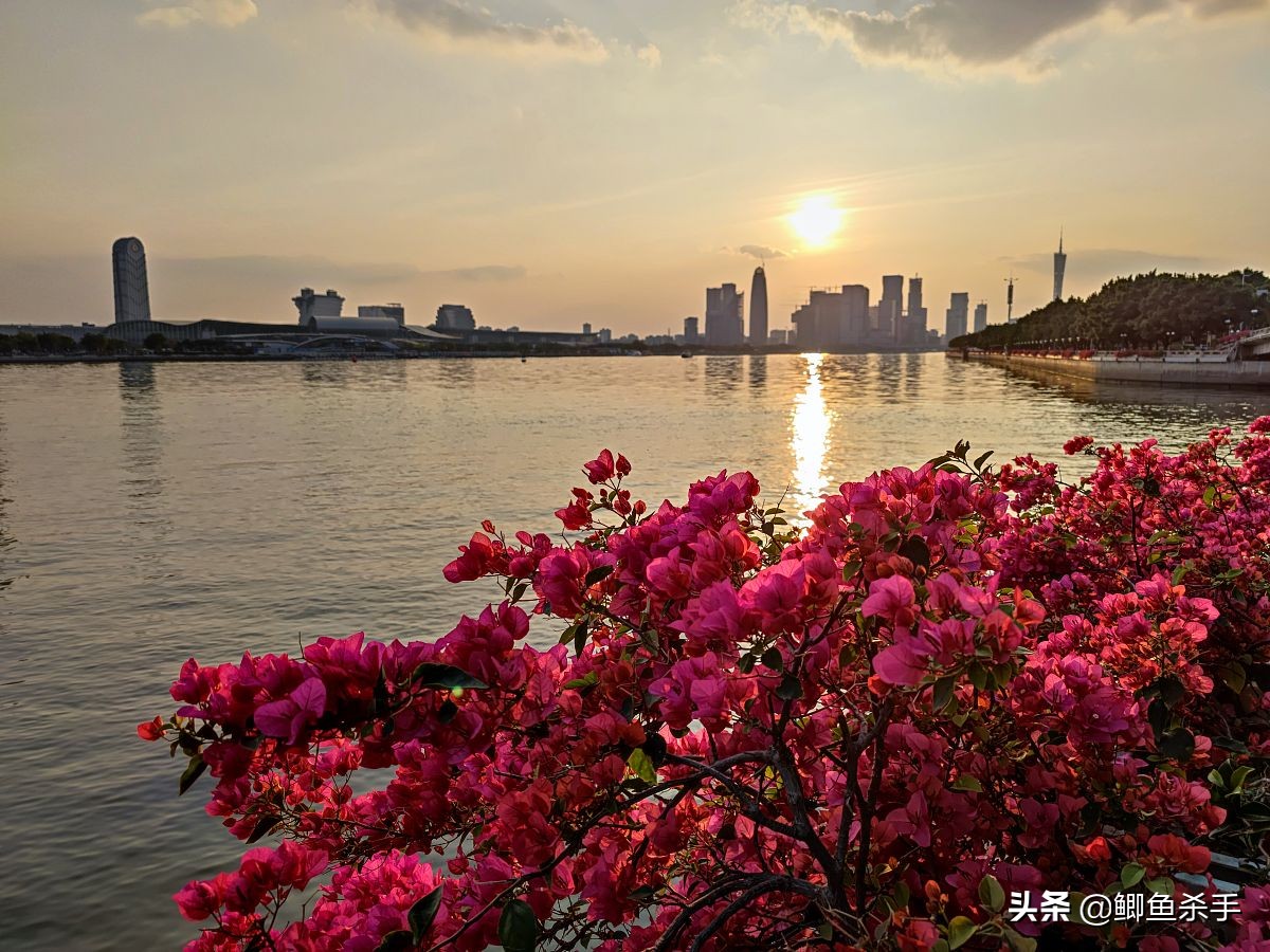 牢底坐穿鱼为什么会被抓,牢底坐穿鱼后续